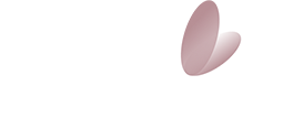 Daya Acessórios